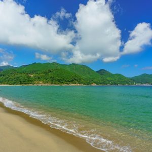 夏雲と新鹿