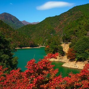 宮川ダム湖と紅葉と秋空