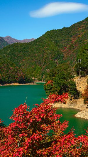 宮川ダム湖と紅葉と秋空