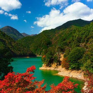 宮川ダム湖の紅葉