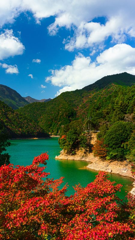 無料スマホ壁紙「宮川ダム湖の紅葉」