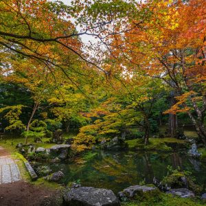 庭園の池に映る秋