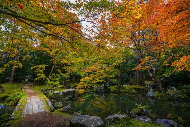 北畠神社の写真「庭園の池に映る秋」