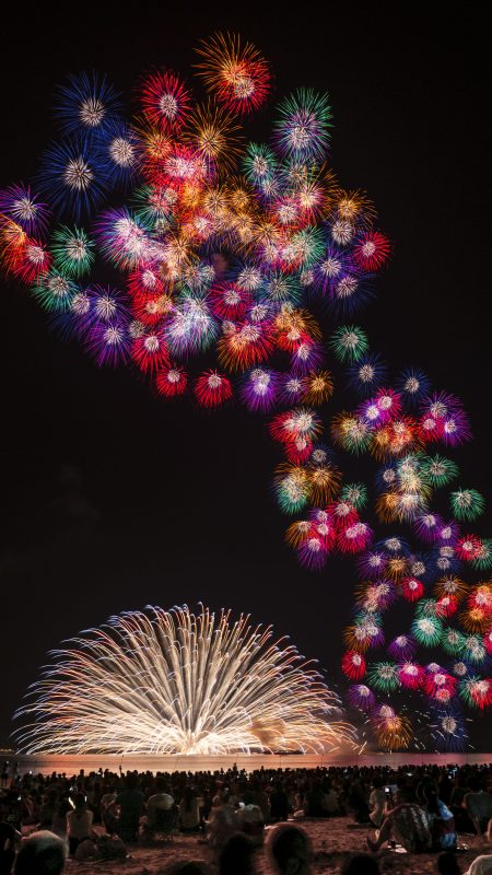 津花火大会の写真「龍のように登る」