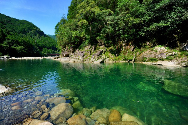 銚子川の写真「真夏の魚飛渓」
