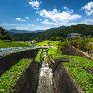 棚田の水田