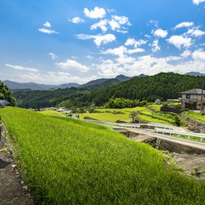 棚田のある町