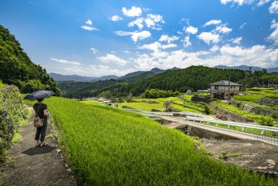 深野のだんだん田の写真「棚田のある町」