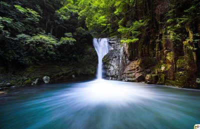 赤目四十八滝の写真「大増水の布曳滝」