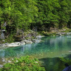 銚子川の写真「新緑に輝く魚飛渓」