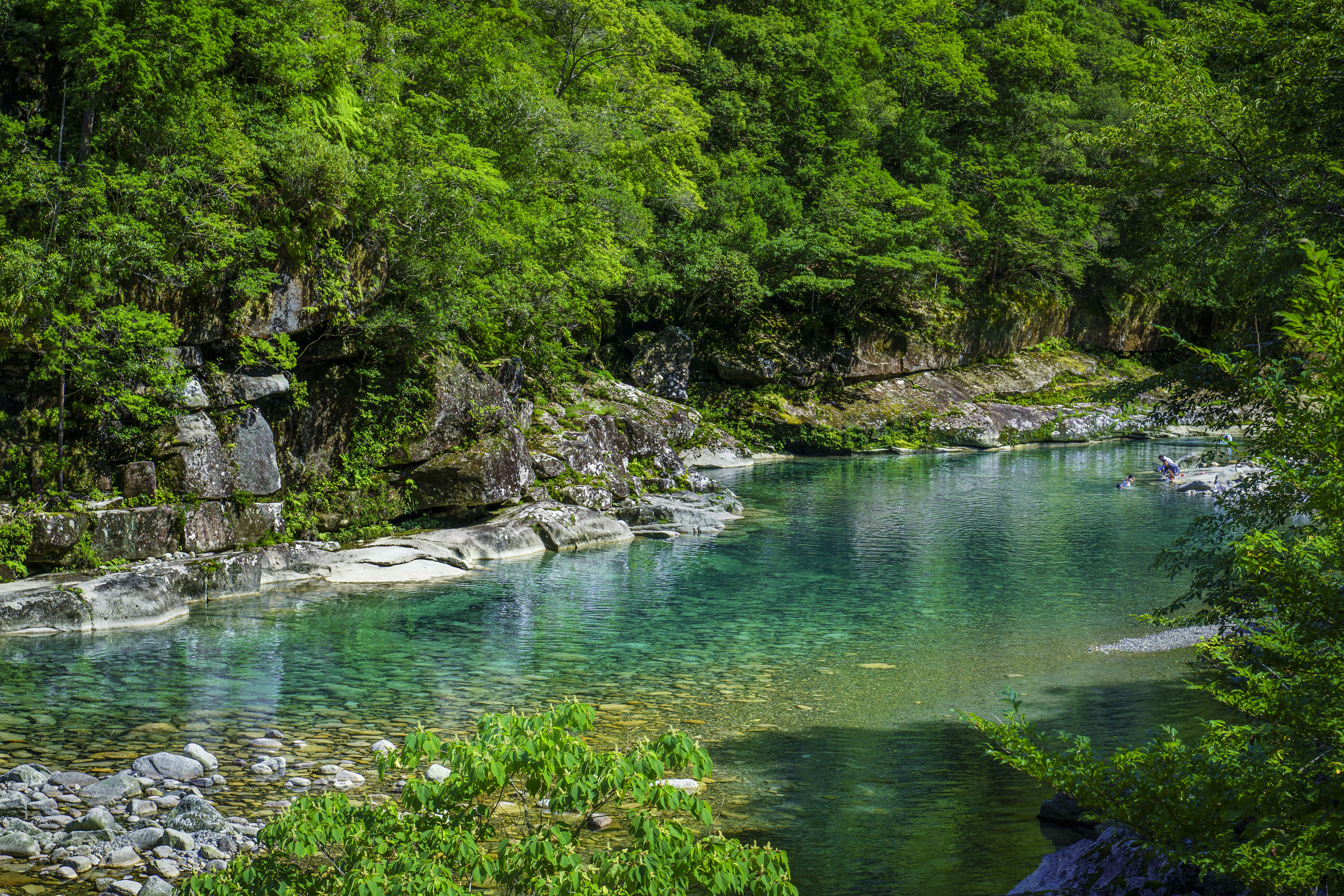 銚子川のフリー写真素材「新緑に輝く魚飛渓」 | 三重フォトギャラリー