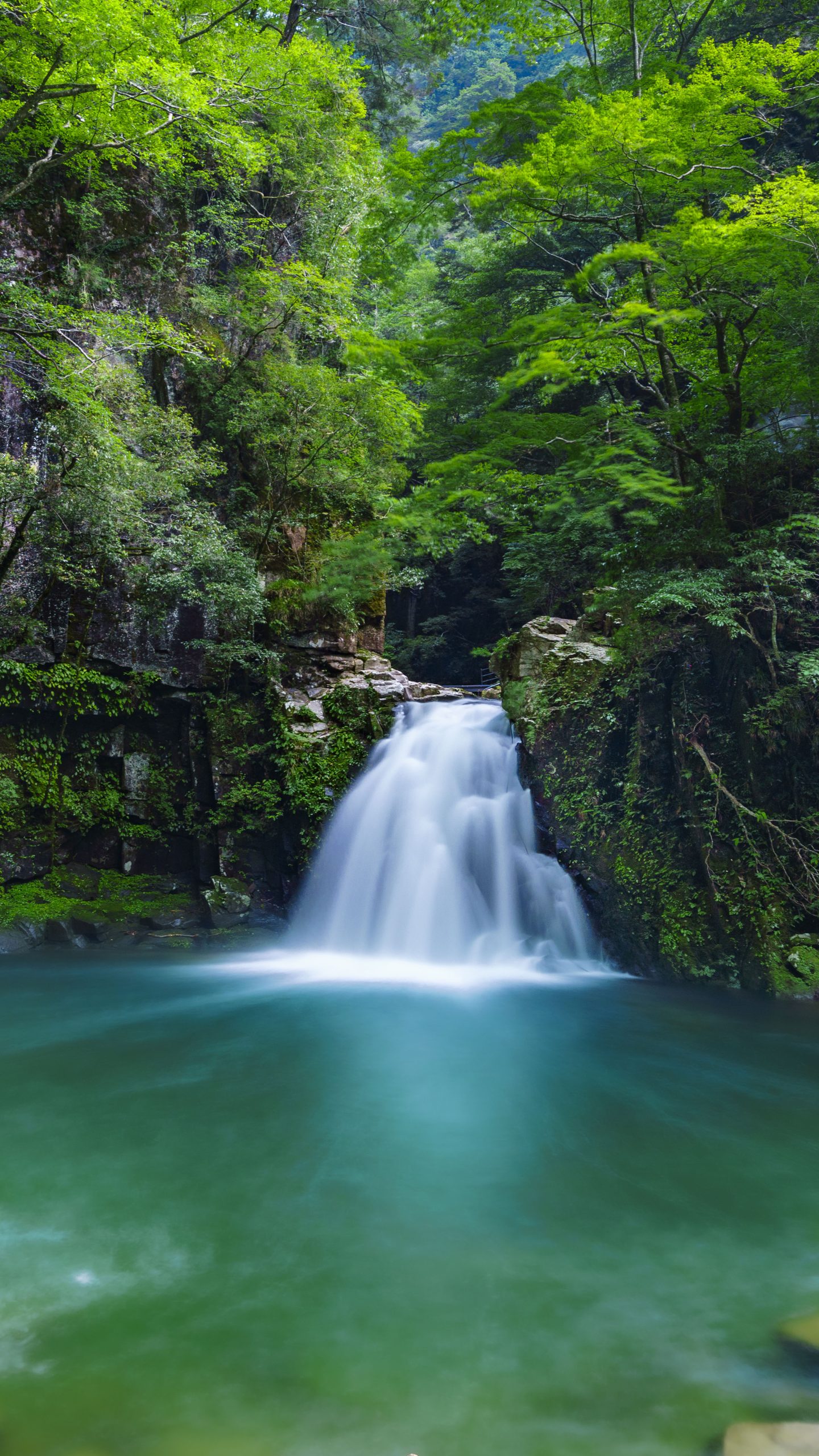 赤い滝　緑の滝　青い滝 新緑の赤目四十八滝と水族館 @takeo_0087 さまのご投稿を