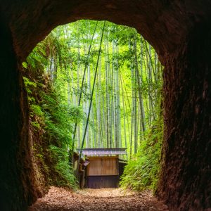 トンネルの先に竹林