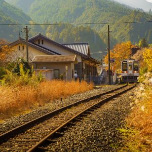 伊勢奥津駅の秋