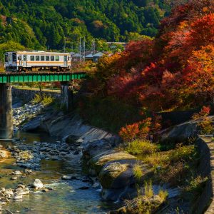 真っ赤な紅葉の家城