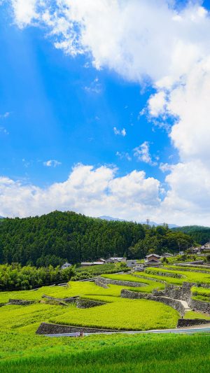 無料スマホ壁紙「美しい入道雲」