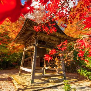 紅葉に包まれた八角銅鐘