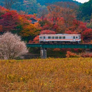 名松線の写真「南家城の紅葉」