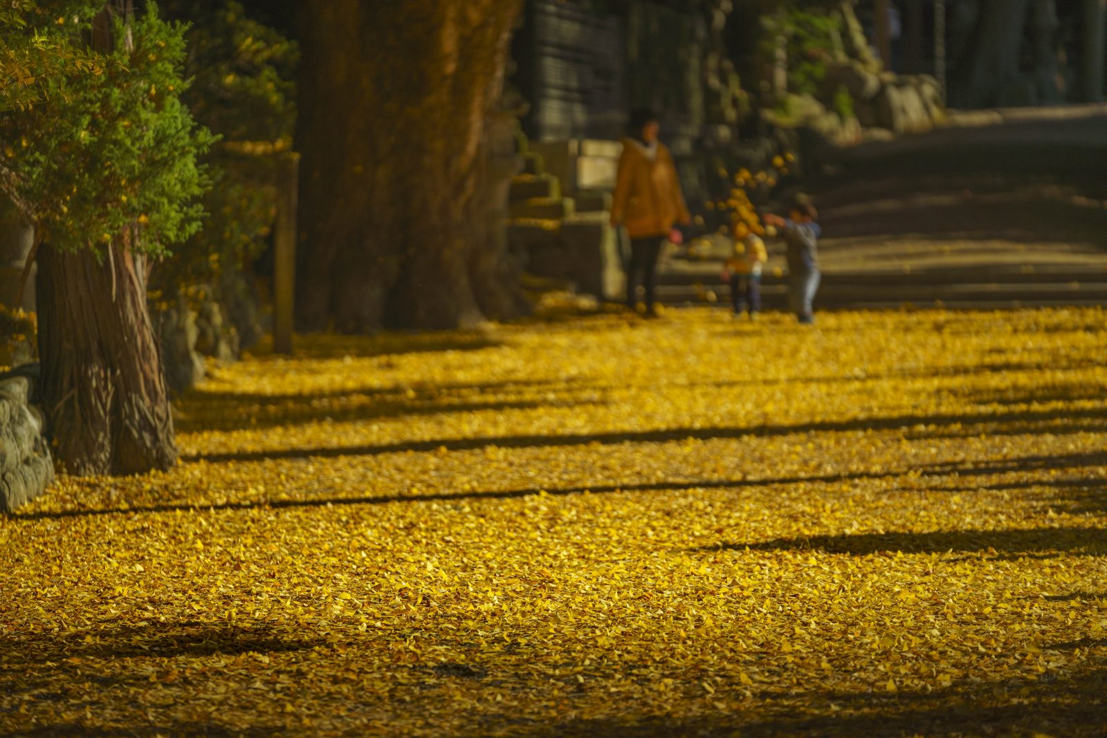 積田神社の写真「温かい空間」