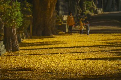 積田神社の写真「温かい空間」