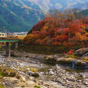 家城ラインの紅葉を走る