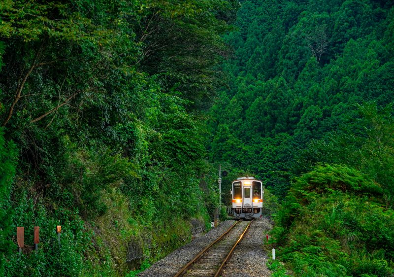名松線の写真「比津の森」