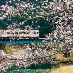 名松線の写真「春を走る」