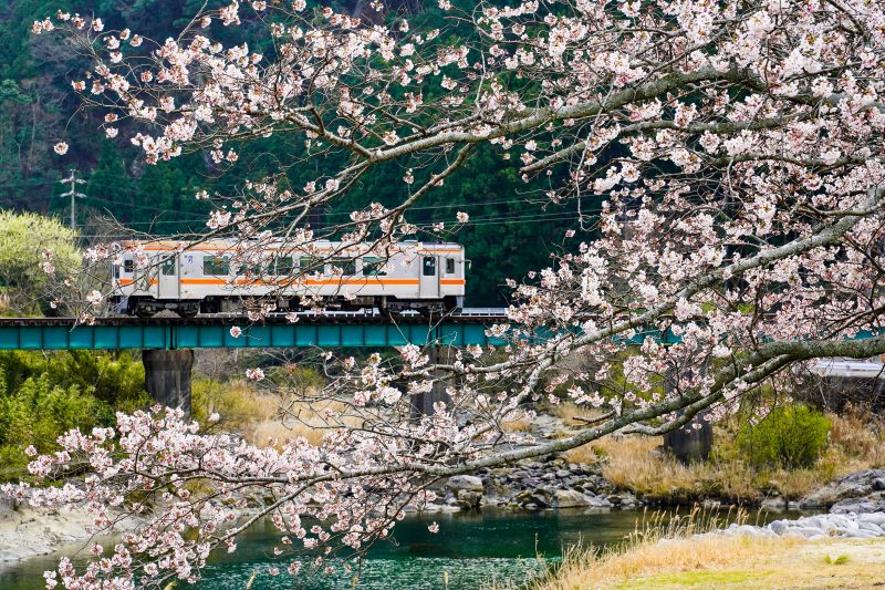 名松線の写真「春を走る」