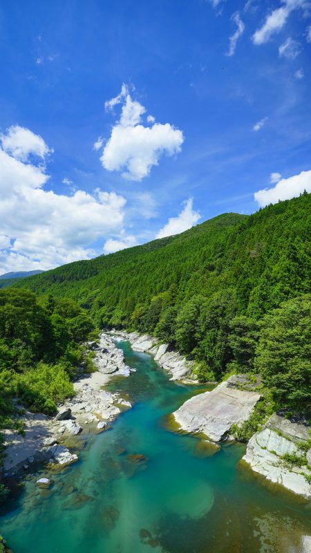 無料スマホ壁紙「香肌峡の新緑」