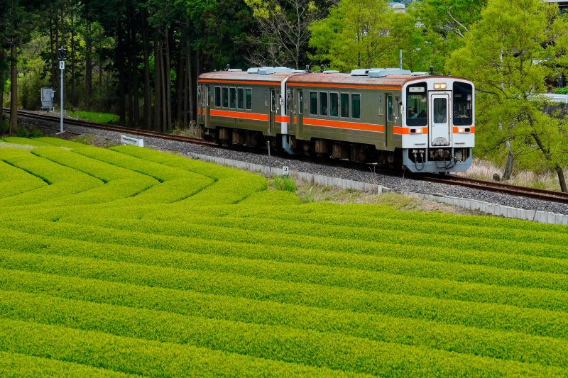 名松線の写真「竹原の茶畑」