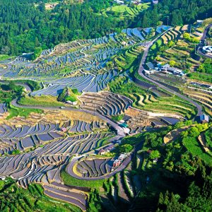 通り峠から眺める丸山千枚田