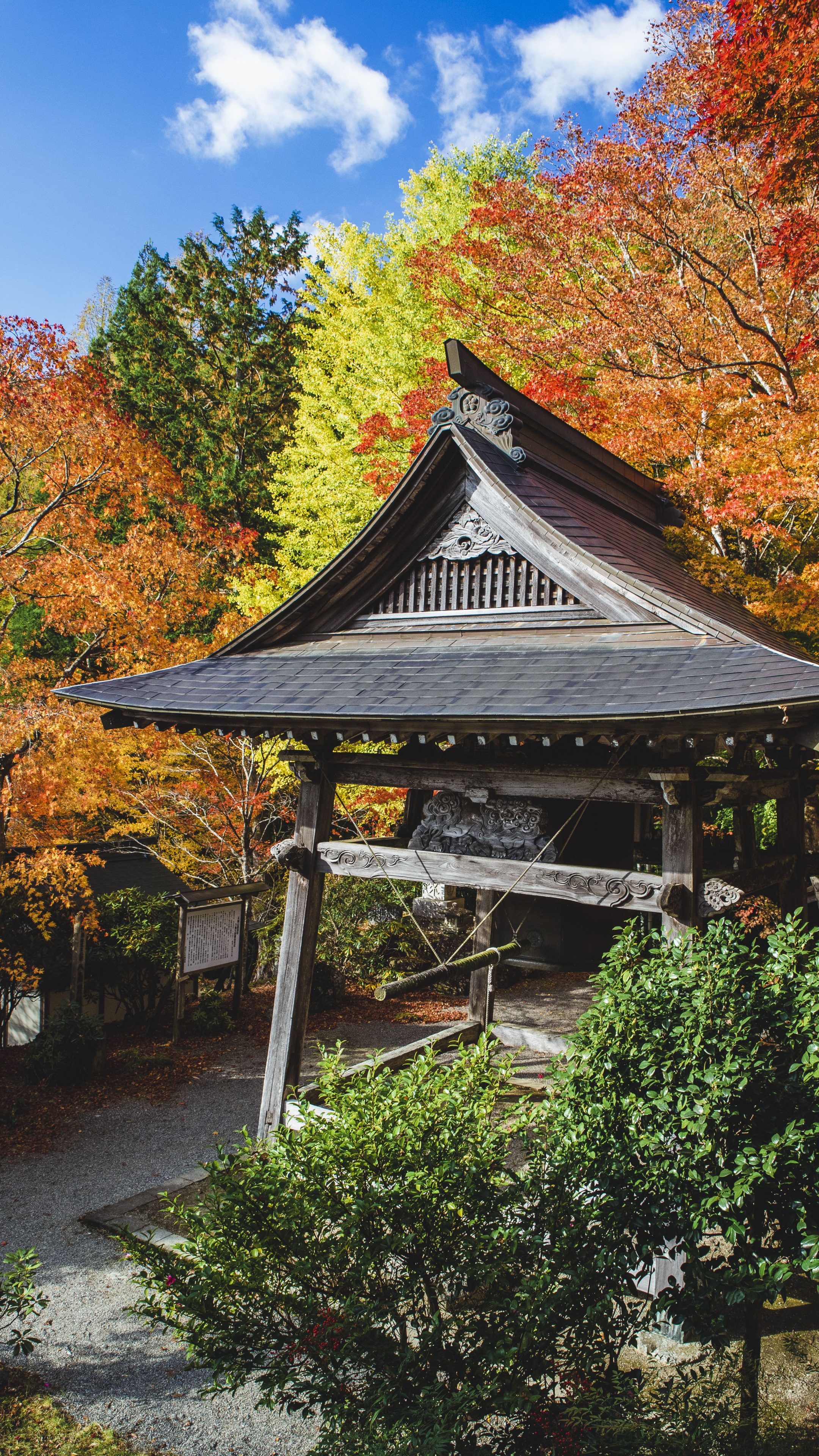 無料スマホ壁紙 銀杏と紅葉と八角銅鐘。AndroidとiPhoneに対応した4K高画質の無料待ち受け画像。三重県松阪市の天開山泰運寺で撮影したフリー写真素材