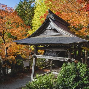 銀杏と紅葉と八角銅鐘