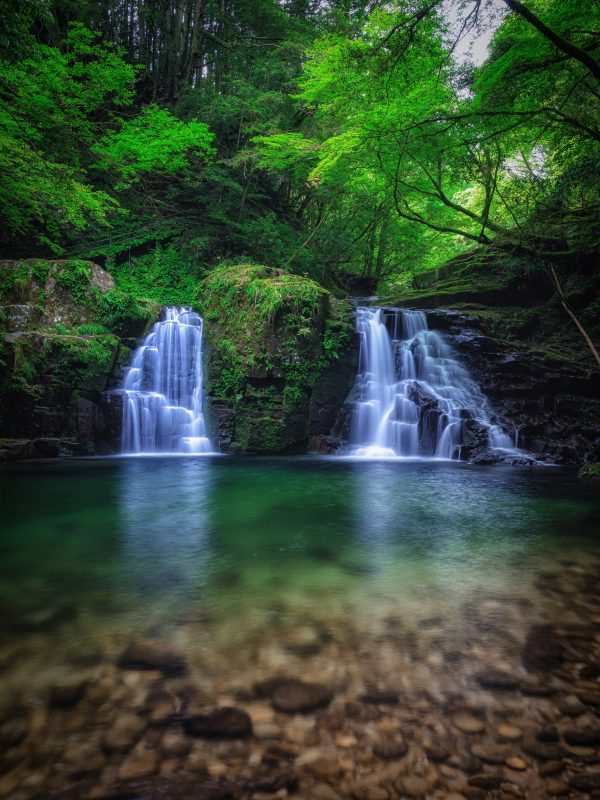 赤目四十八滝の写真「透き通った滝壺と新緑の荷担滝」