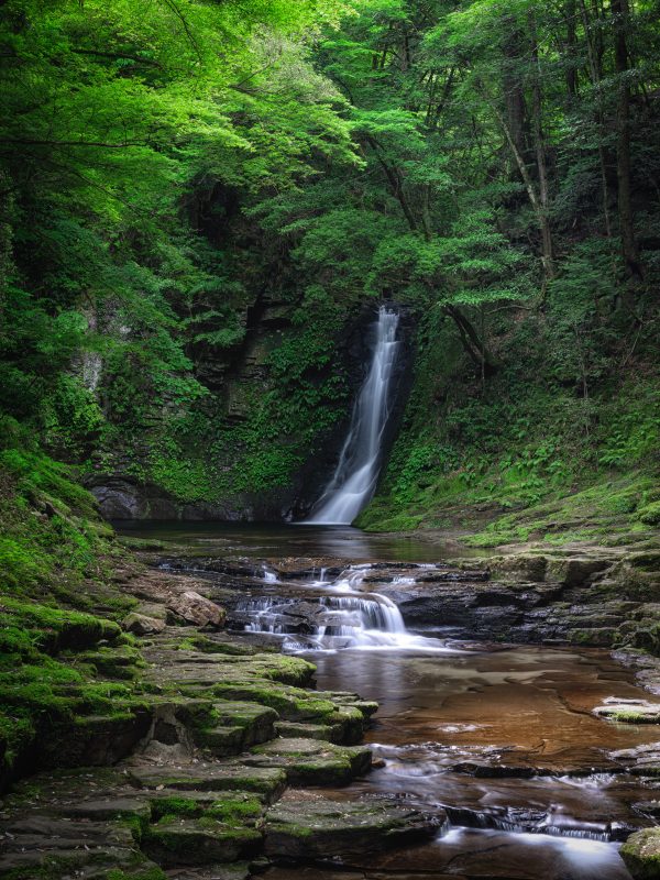 赤目四十八滝の写真「新緑に囲まれる琵琶滝」