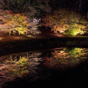 無料壁紙 駐車場近くの紅葉ライトアップのリフレクション。PCとデスクトップ壁紙に最適な4K高画質の無料壁紙。三重県玉城町の田丸城跡で撮影したフリー写真素材