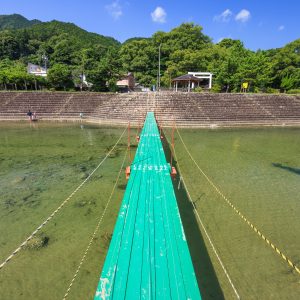 桟橋から眺める川