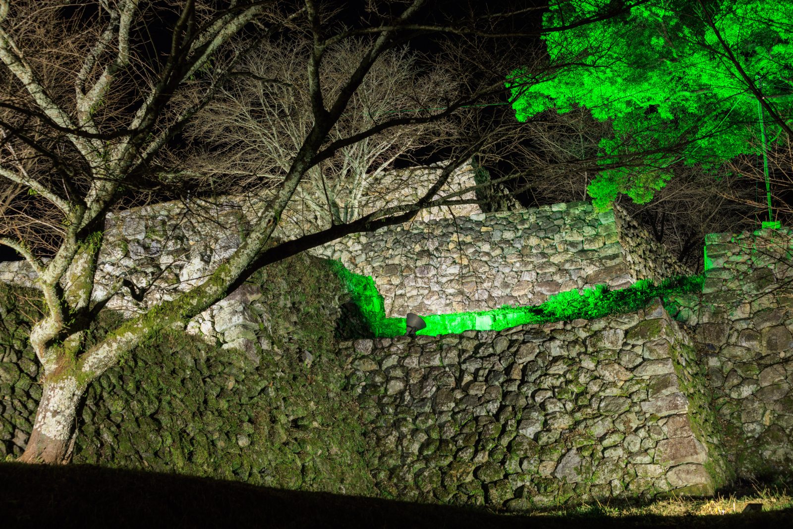 無料壁紙 ライトアップされた石垣を下から見上げる。PCとデスクトップ壁紙に最適な4K高画質の無料壁紙。三重県玉城町の田丸城跡で撮影したフリー写真素材