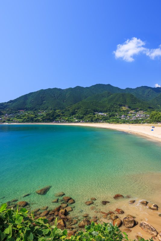 新鹿海水浴場の写真「エメラルドグリーンに輝く海」