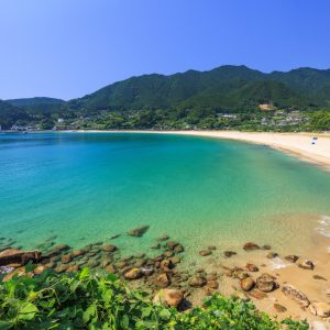 夏に煌めく新鹿の海