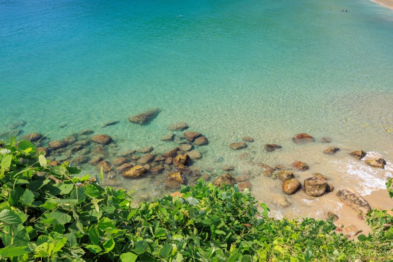 新鹿海水浴場の写真「高台から見下ろす澄んだ海」