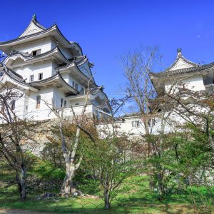 伊賀上野城の写真「大天守と小天守」