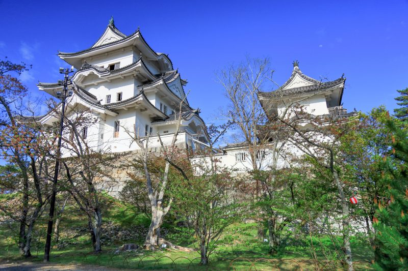 伊賀上野城の写真「大天守と小天守」