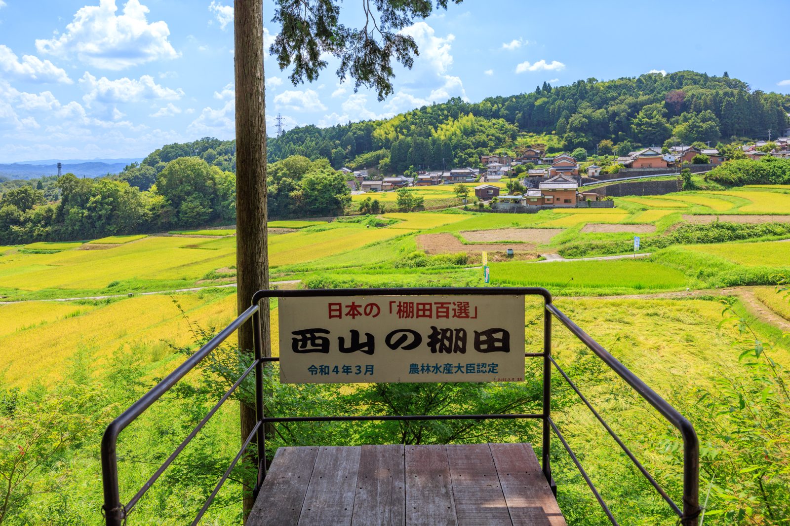 無料壁紙 展望台からの眺め。PCとデスクトップ壁紙に最適な4K高画質の無料壁紙。三重県伊賀市の西山の棚田で撮影したフリー写真素材