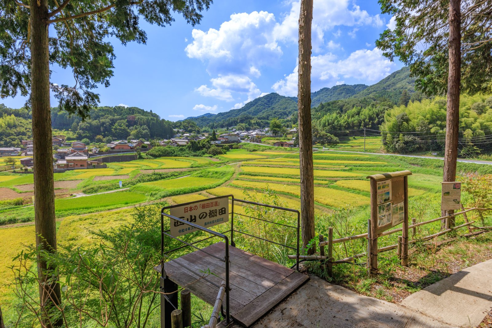 無料壁紙 展望台の周辺。PCとデスクトップ壁紙に最適な4K高画質の無料壁紙。三重県伊賀市の西山の棚田で撮影したフリー写真素材