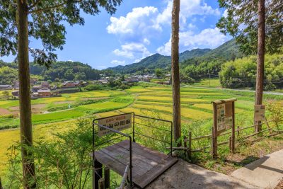 西山の棚田の写真「展望台の周辺」
