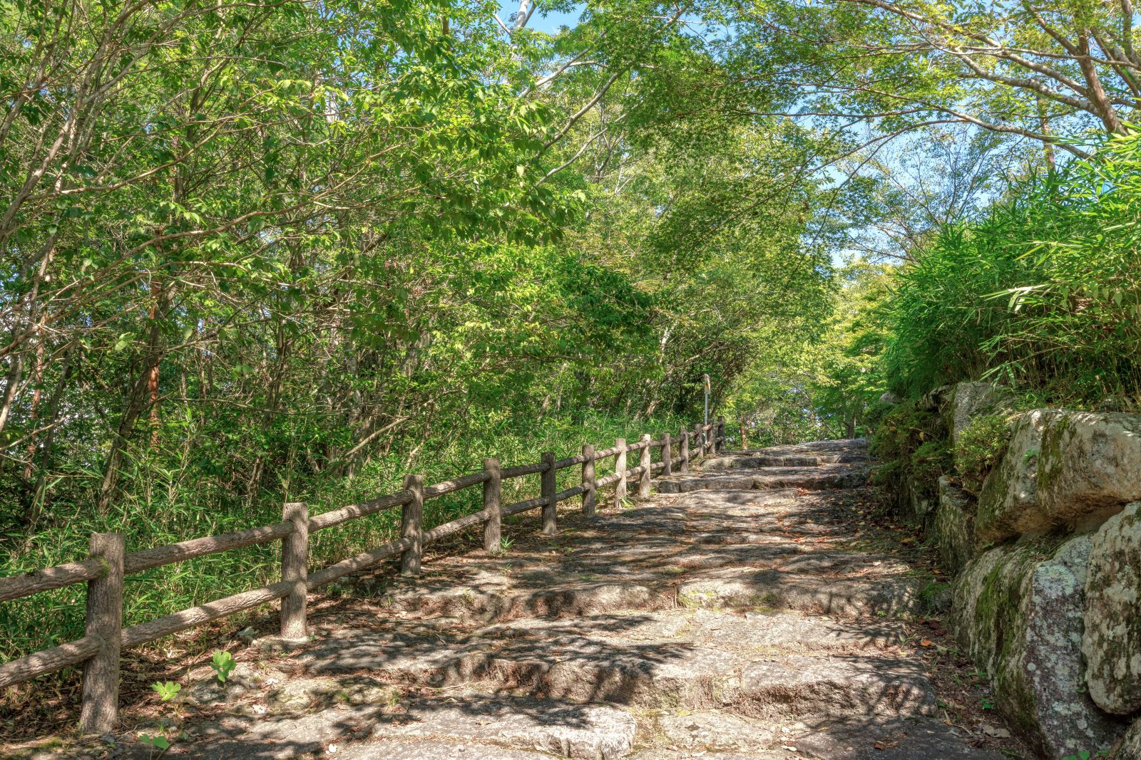 フリー写真素材「体験学習の丘へと続く遊歩道」