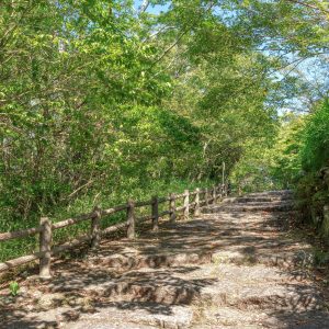 無料壁紙 体験学習の丘へと続く遊歩道。PCとデスクトップ壁紙に最適な4K高画質の無料壁紙。三重県伊賀市の岩倉峡公園で撮影したフリー写真素材