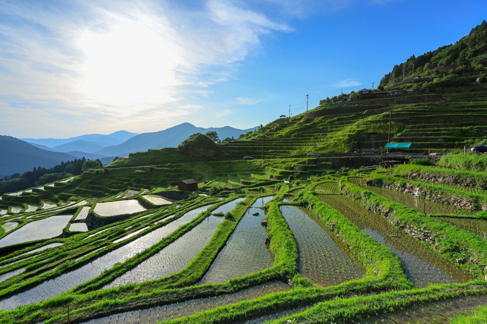 丸山千枚田の写真「田植え完了」