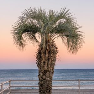 無料スマホ壁紙 夕焼けとヤシの木のサンセットビーチ。AndroidとiPhoneに対応した4K高画質の無料待ち受け画像。三重県御浜町の七里御浜ふれあいビーチで撮影したフリー写真素材